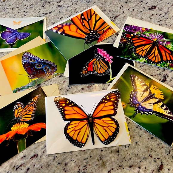 Butterfly Note Card Set of 8 - Picture 1 of 2